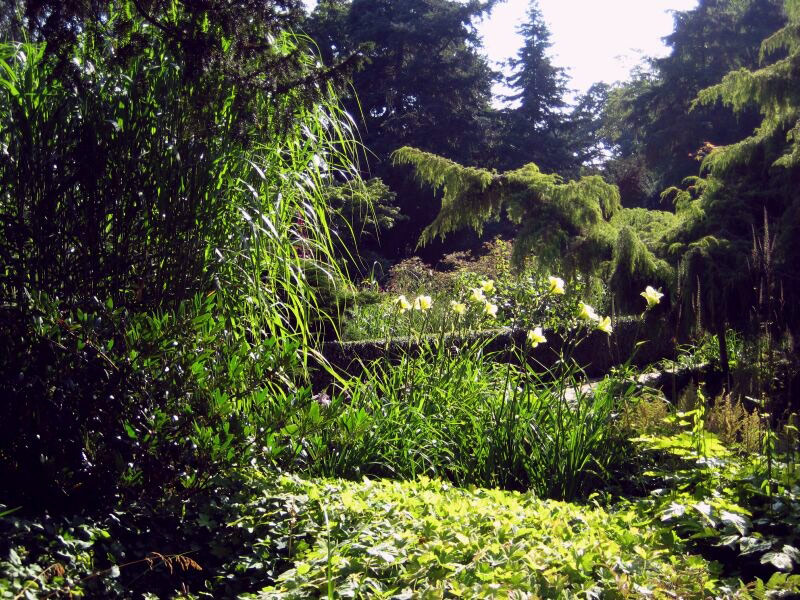 Karl Foerster Garden, Potsdam