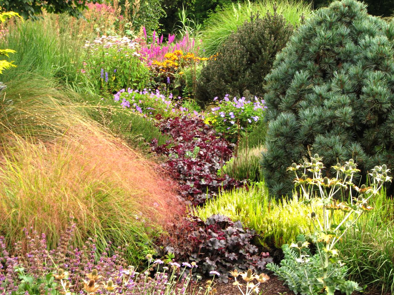 Foggy Bottom Garden Philip Gosling