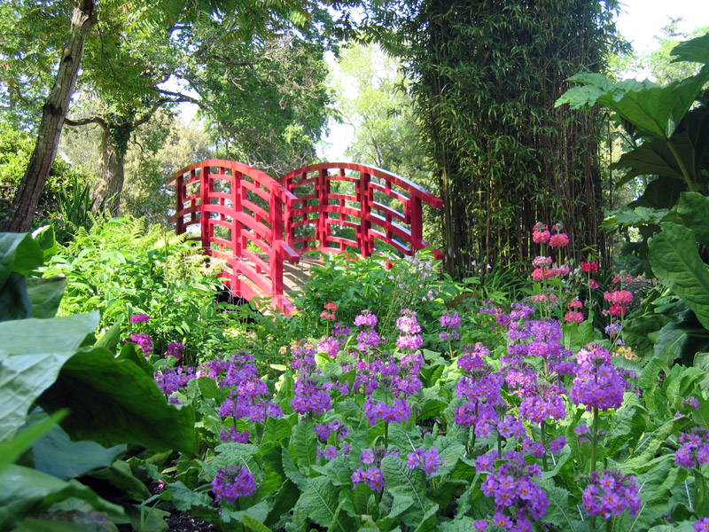 Bog Garden, Forde Abbey Garden