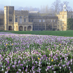 Forde abbey garden