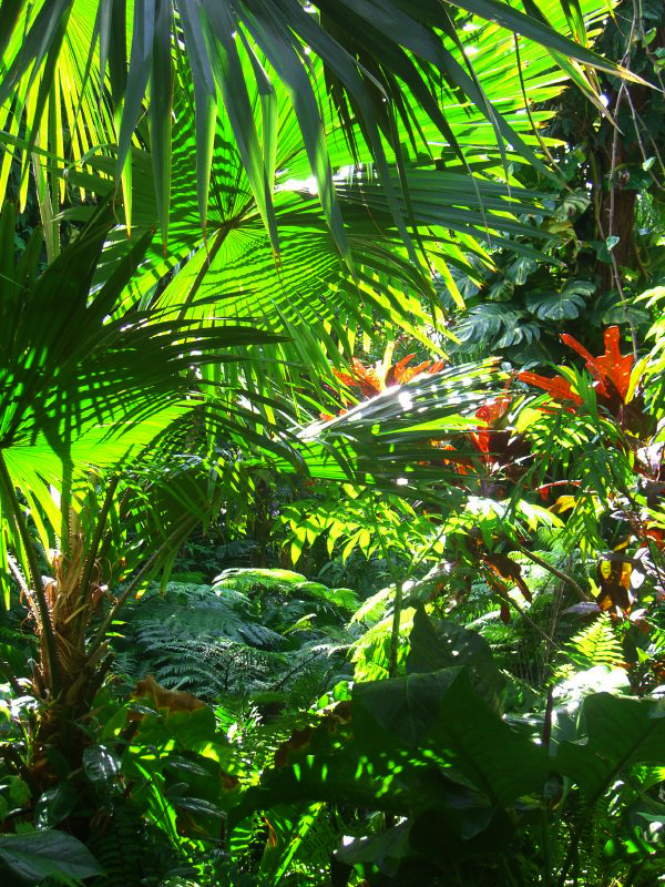 Forrester Garden Phil Hollman