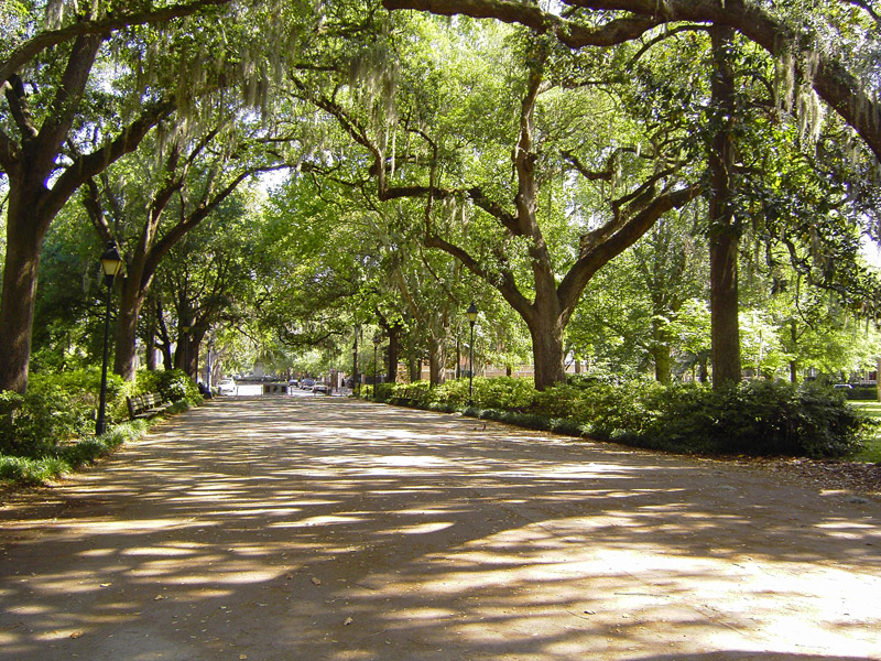 Forsyte Park, Savannah