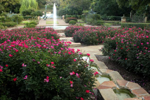 Fortworthbotanic vollenweid