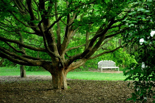 Foster Park Floral Area, Indiana