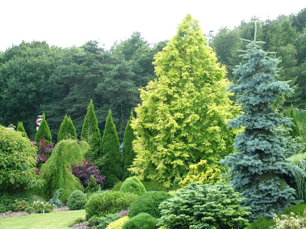 Foxhollow Garden, Dorset
