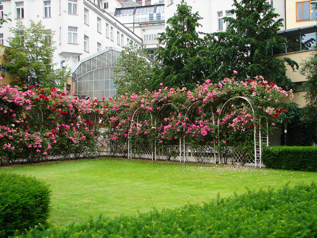 Franciscan Gardens, Prague Craig Elliot