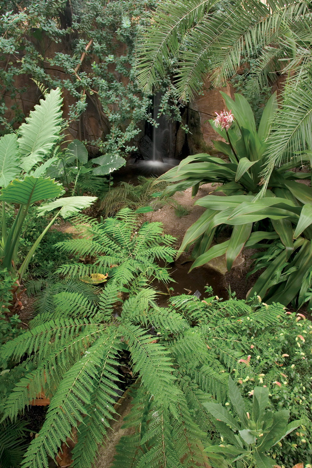 Conservatory, Frederik Meijer Gardens