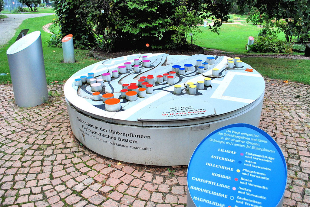 Freiburg Botanic Garden, Germany