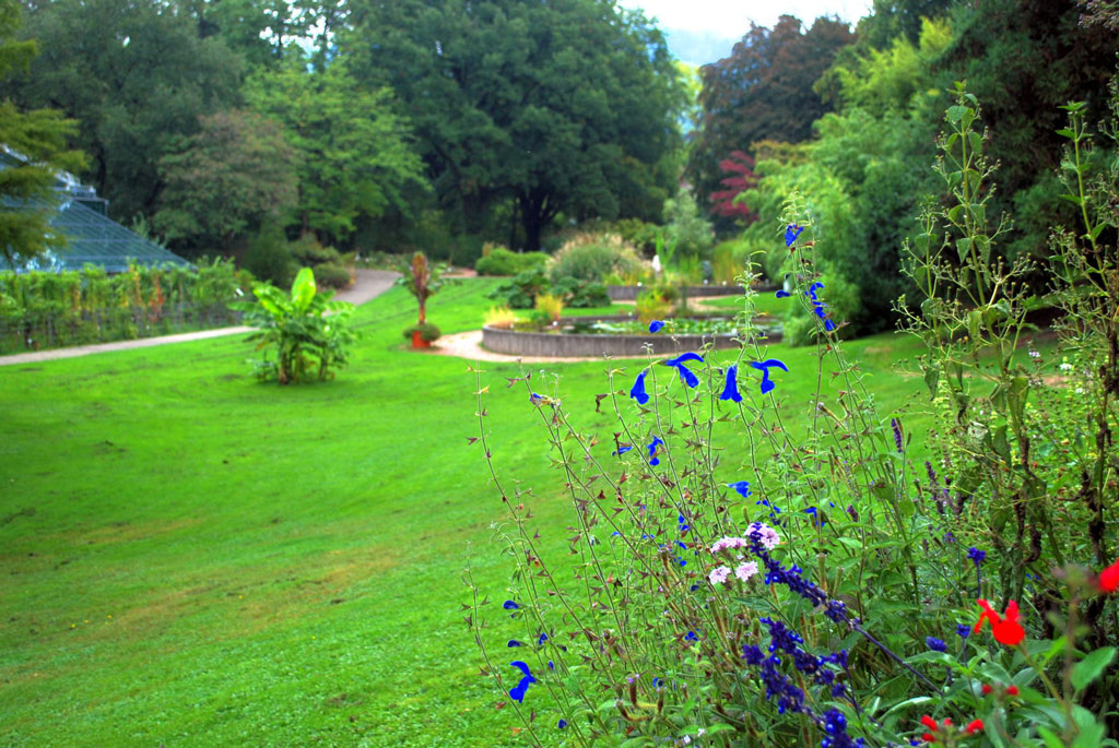 Freibug Uni Botanic Garden
