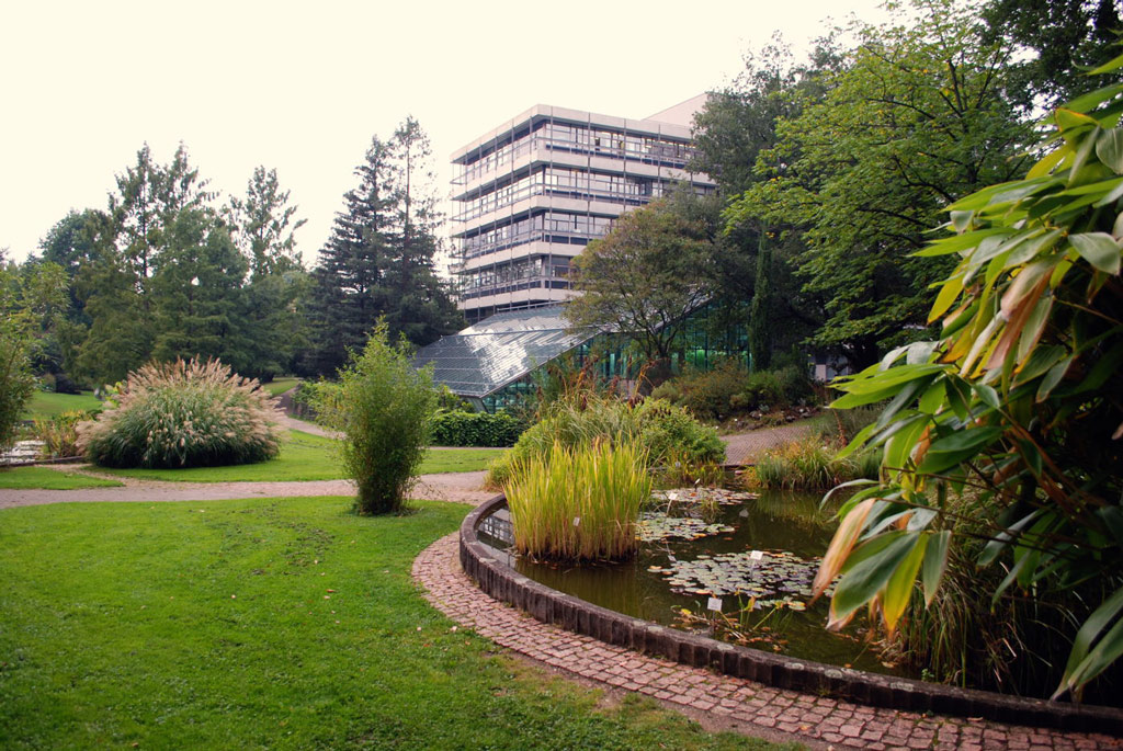 Freibug University Botanic