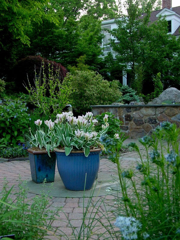 Frelinghuysen Arboretum