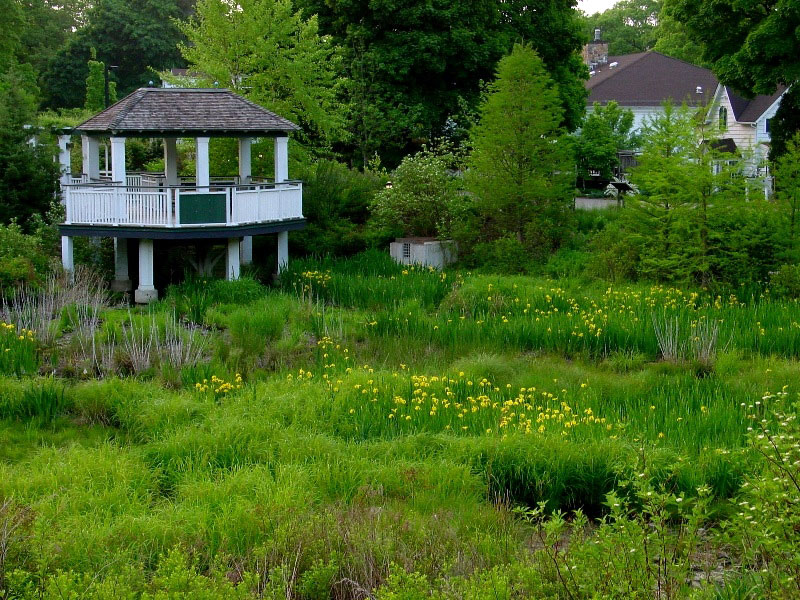 Frelinghuysen Arboretum, New Jersey