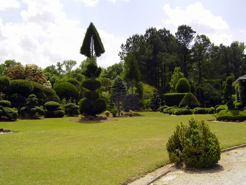 Pearl Fryar's Topiary Garden, April 2008