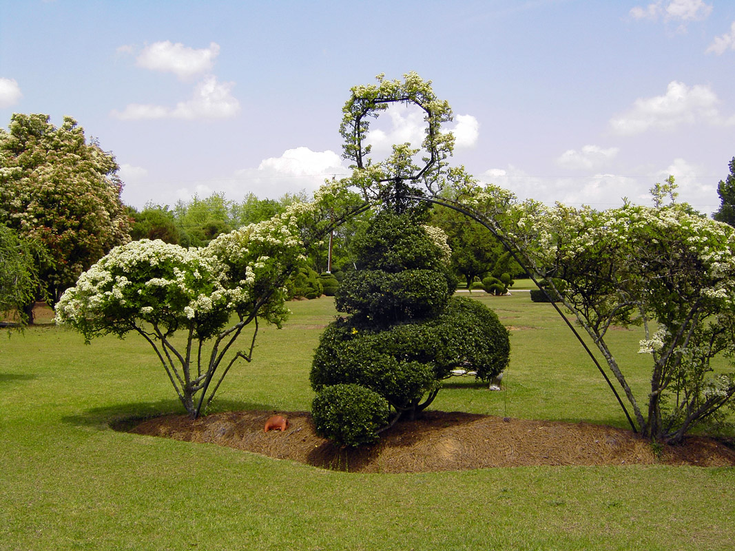 Pearl Fryar's Topiary Garden