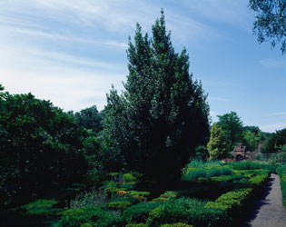 Fulhampalacegarden