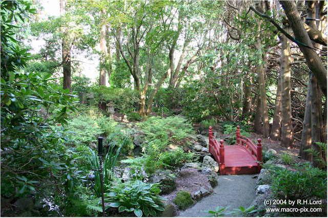 Fuller japanese garden