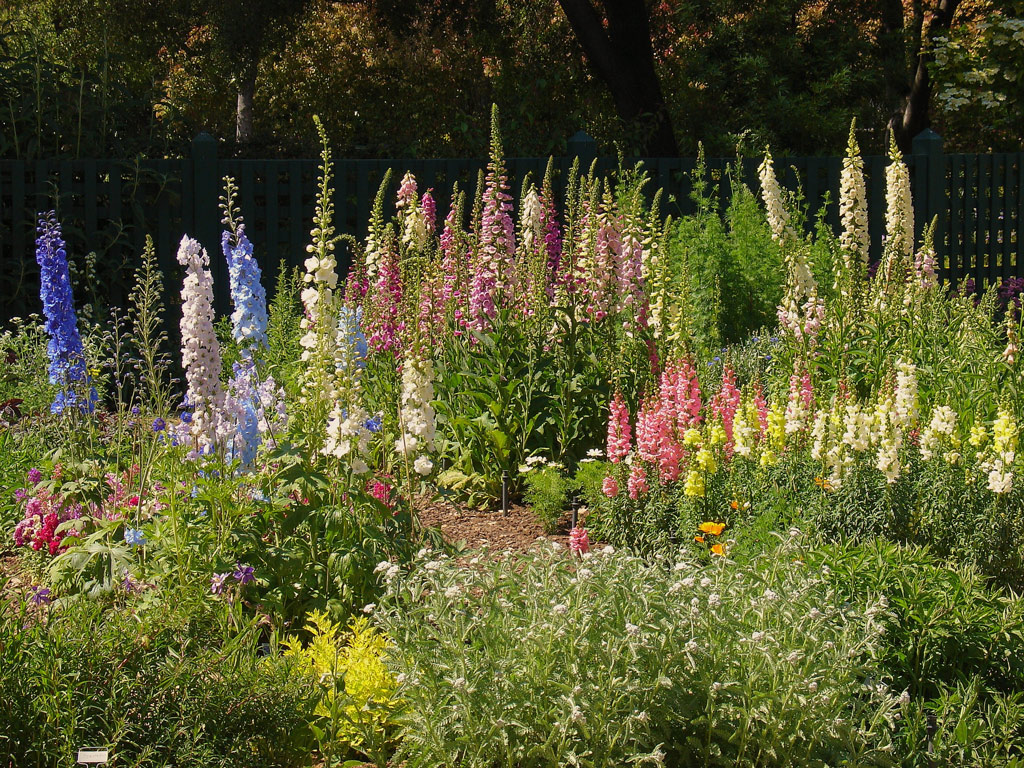 Gamble Garden