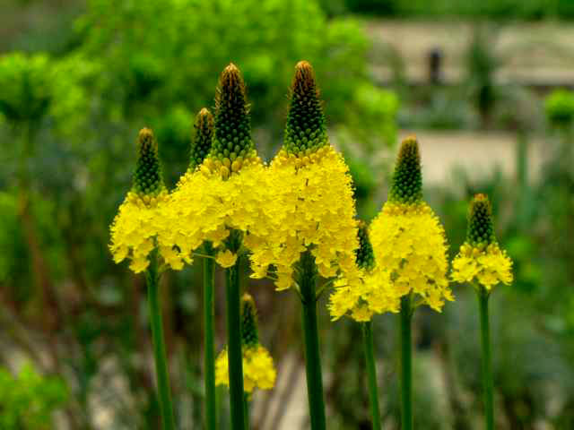 Gamble Garden, 2010