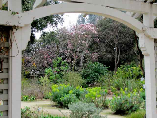 Gamble Garden, February
