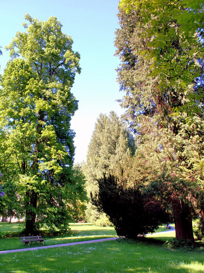 Garatshausen SchlossparkGaratshausen Schlosspark