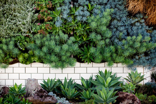 Green Wall using Woolly Wally Pockets