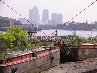 Garden Boat Canary Wharf