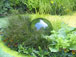 Garden Design and Garden Designers
