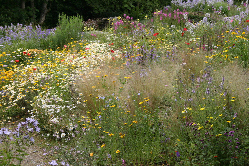 The Garden House, July