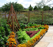 Garden organic ryton