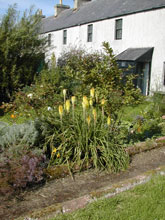 Garden Property Insurance