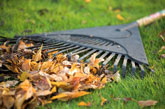 Leaf rake