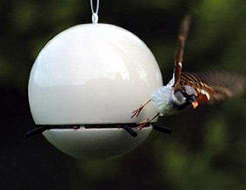 Garden Boutique - Birdball