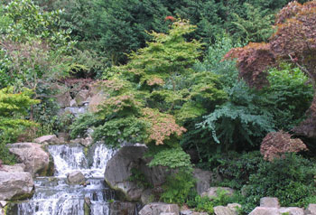 Gardenesque planting design in England