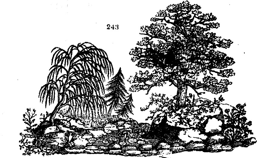Gardening encyclopedia 1023 243