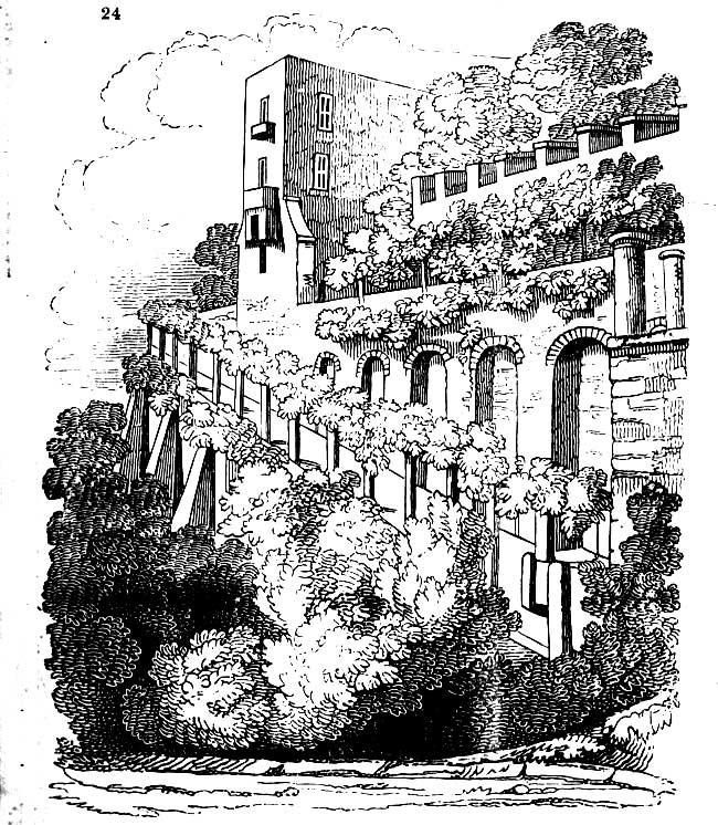 Gardening encyclopedia 113 24