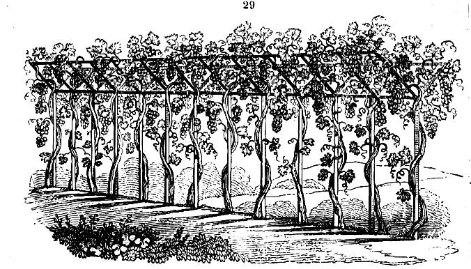 Gardening encyclopedia 130 29