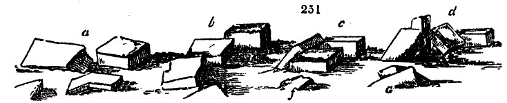 Gardening encyclopedia 1532 251