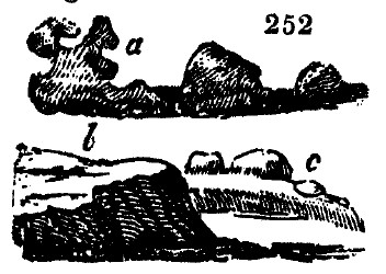 Gardening encyclopedia 1533 252