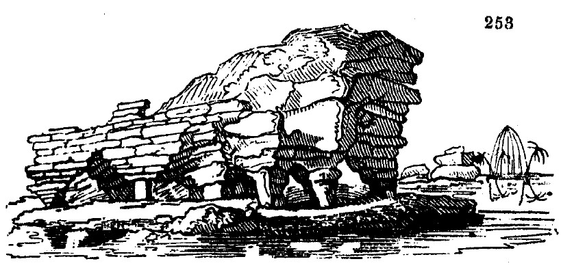 Gardening encyclopedia 1533 253