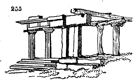Gardening encyclopedia 1537 255