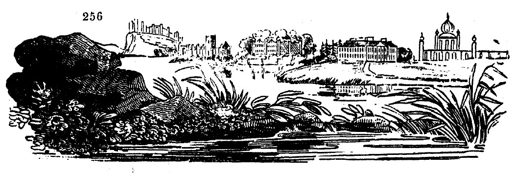Gardening encyclopedia 1537 256