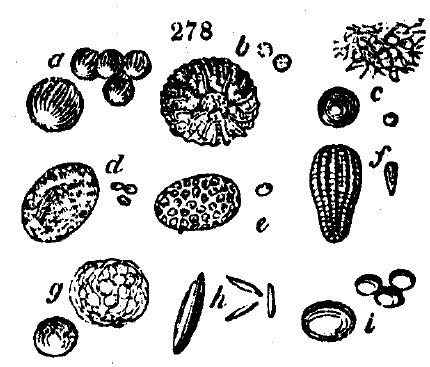 Gardening encyclopedia 1613 278