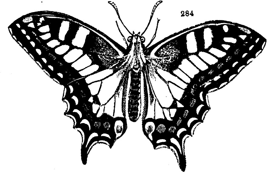 Gardening encyclopedia 1643 284