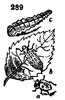 Gardening encyclopedia 1654 289