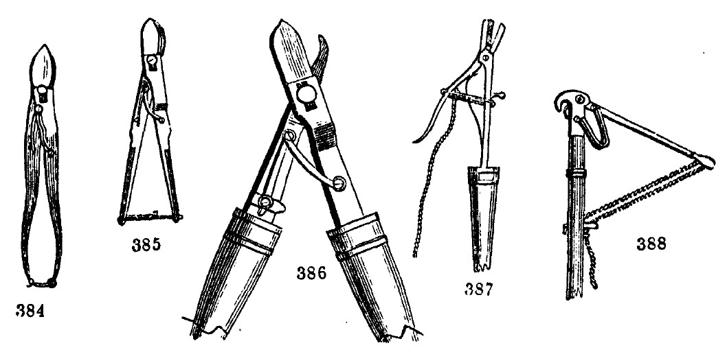 Gardening encyclopedia 1749 384 388