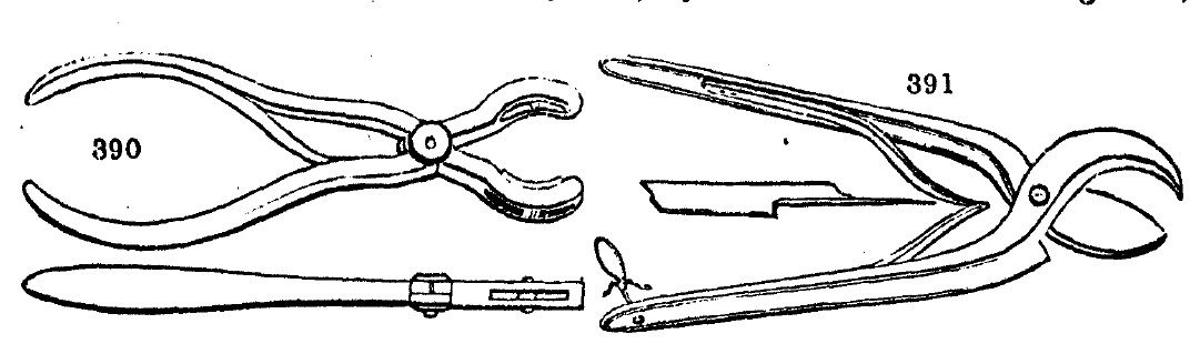 Gardening encyclopedia 1751 390 391