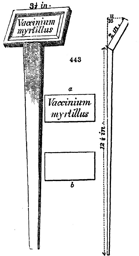 Gardening encyclopedia 1802 443