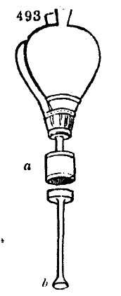 Gardening encyclopedia 1874 493
