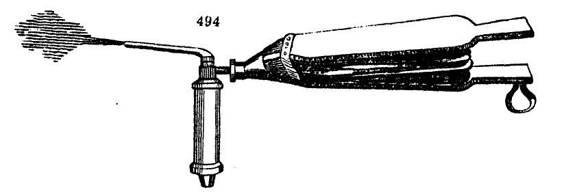 Gardening encyclopedia 1875 494