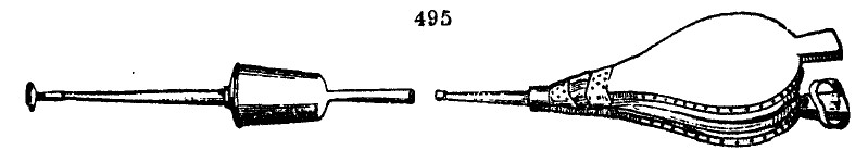 Gardening encyclopedia 1876 495